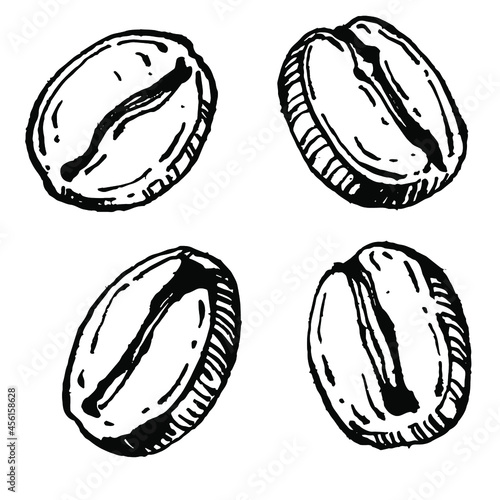 Coffee tree and beans in graphic style hand draw on white background. Isolated object with engraved style illustration. The best for design logo, menu, label, icon, stamp.