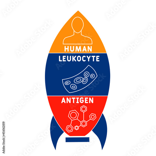 HLA - Human Leukocyte Antigen acronym. medical concept background.  vector illustration concept with keywords and icons. lettering illustration with icons for web banner, flyer, landing 