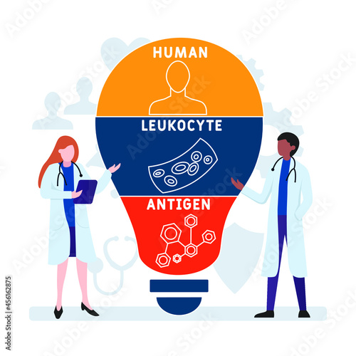 Flat design with people. HLA - Human Leukocyte Antigen acronym. medical concept background. Vector illustration for website banner, marketing materials, business presentation, online advertising