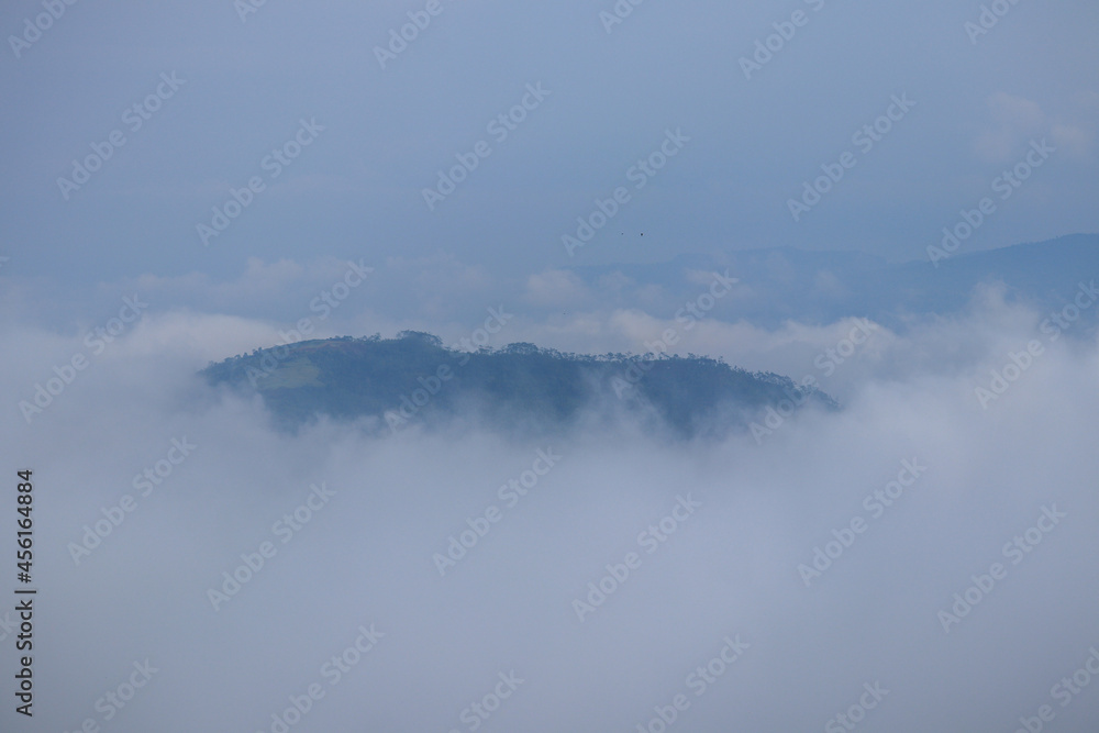 fresh green tea plantation hill scenery shrouded in white cloud fog fresh green tea plantation hill scenery shrouded in white cloud fog
