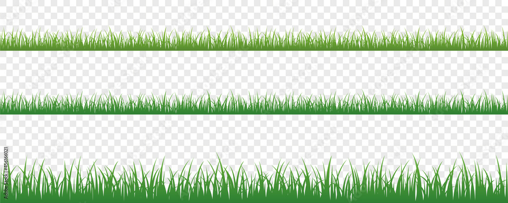 green grass meadow border vector pattern isoladet - obrazy, fototapety, plakaty 