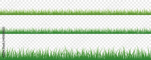green grass meadow border vector pattern isoladet photo