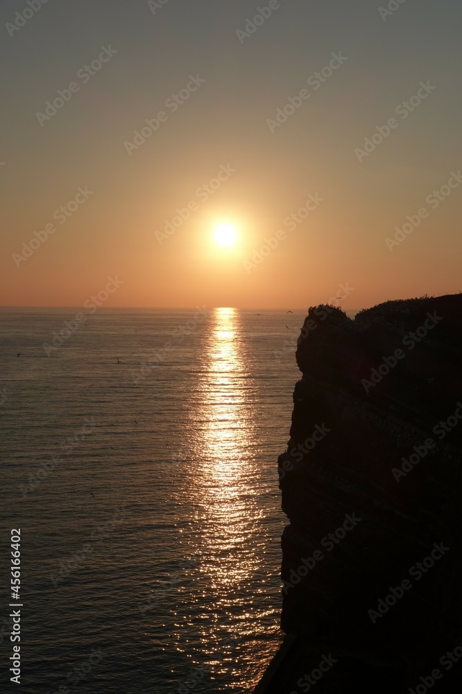 Sunset by the sea with northern gannets on a cliff and in the air