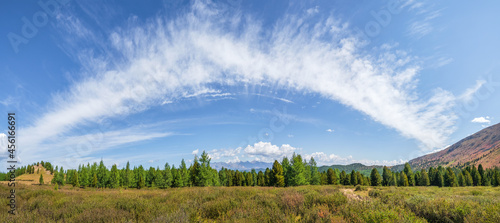 Picturesque panoramic sunny autumn landscape with a high green coniferous plateau illuminated by the sun with a mountain wall under feathery clouds.