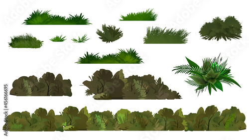 Vector green tree and bush on white background. Summer forest. Vector design. Clean vector landscape like jungle. Tropical collection leaves, grass and bushes