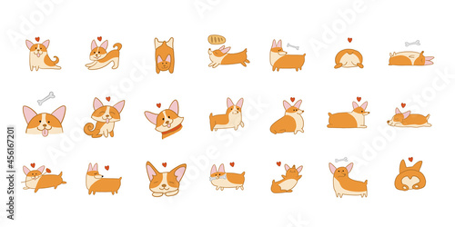 Fototapeta Naklejka Na Ścianę i Meble -  Corgi dogs set. Funny Puppies collection. Sketch for your design