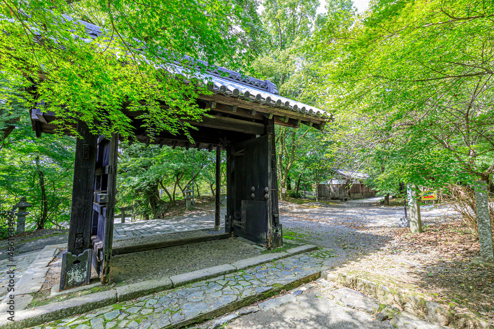 Fototapeta premium 夏の秋月城跡 黒門 福岡県朝倉市 Akizuki Castle Ruins in Summer Fukuoka-ken Asakura city