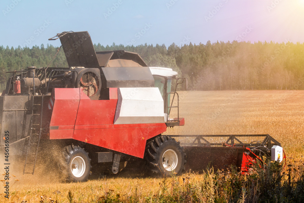 Fototapeta premium Modern combine harvester working in the field on a clear sunny day