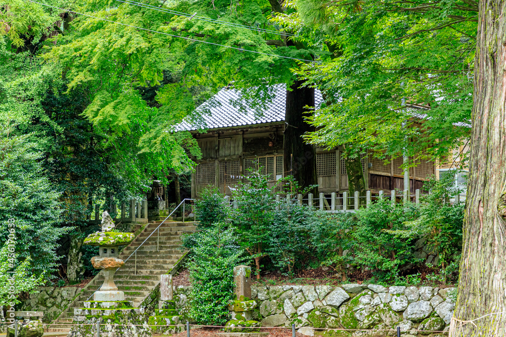 夏の雷神社 福岡県糸島市 Summer Ikazuchi shrine Fukuoka-ken Itoshima city 夏の雷神社 福岡県糸島市 Summer Ikazuchi shrine Fukuoka-ken Itoshima city