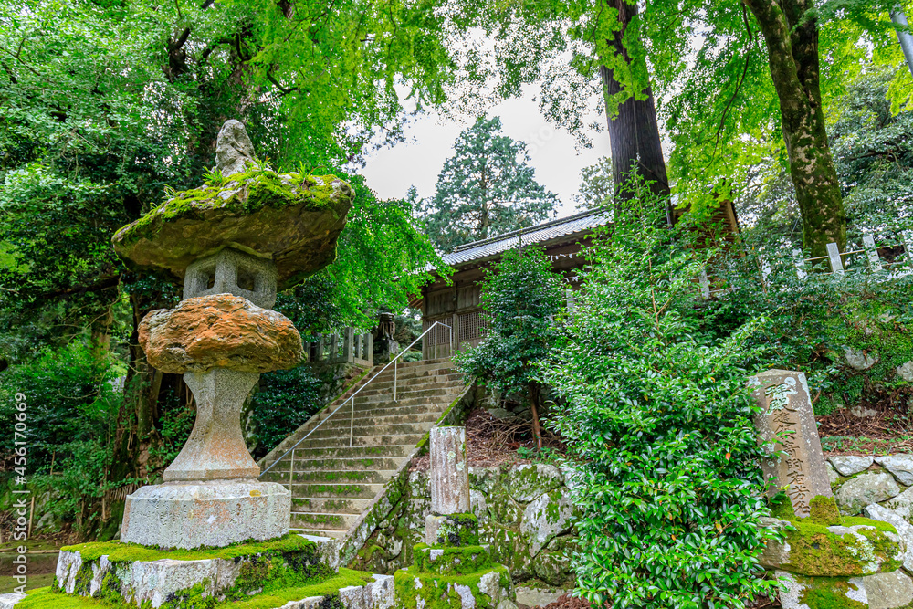 夏の雷神社 福岡県糸島市 Summer Ikazuchi shrine Fukuoka-ken Itoshima city 夏の雷神社 福岡県糸島市 Summer Ikazuchi shrine Fukuoka-ken Itoshima city