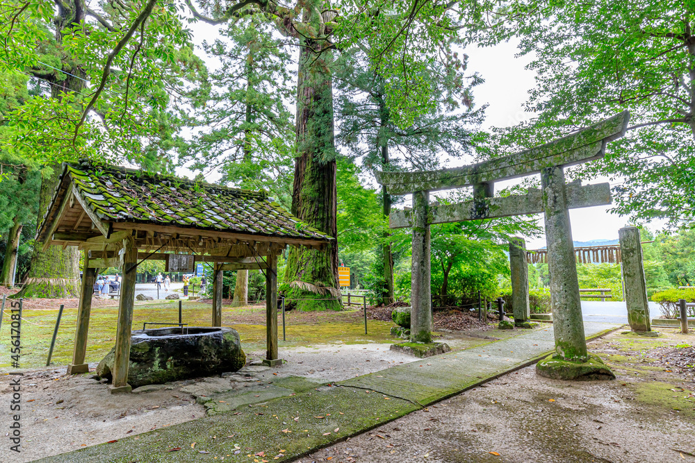 夏の雷神社 福岡県糸島市 Summer Ikazuchi shrine Fukuoka-ken Itoshima city 夏の雷神社 福岡県糸島市 Summer Ikazuchi shrine Fukuoka-ken Itoshima city
