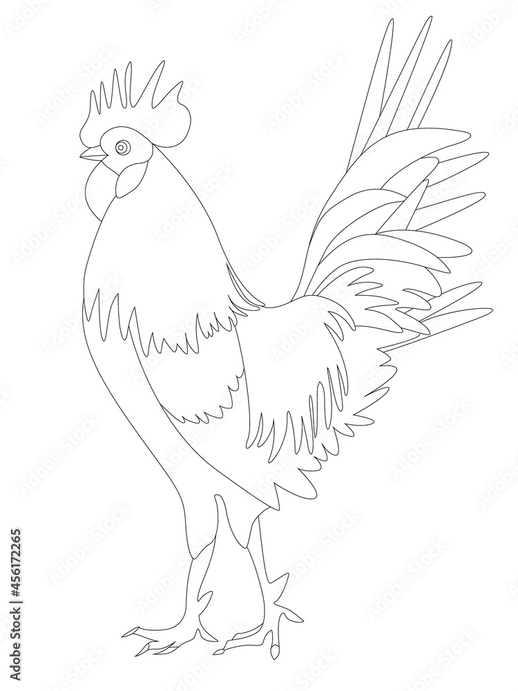 A coloring page with a picture of a rooster.