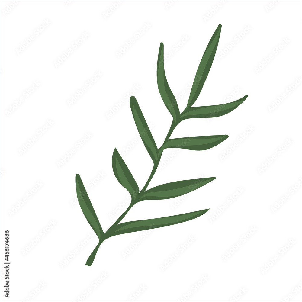 Fototapeta premium Hand drawn branch with leaves isolated on white background. Decorative floral element for your design. Vector illustration