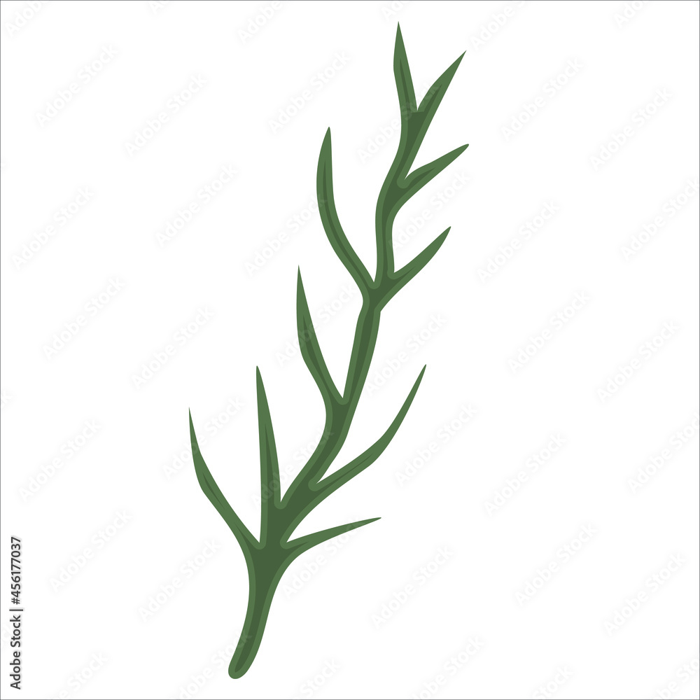 Hand drawn branch with leaves isolated on white background. Decorative floral element for your design. Vector illustration Hand drawn branch with leaves isolated on white background. Decorative floral element for your design. Vector illustration