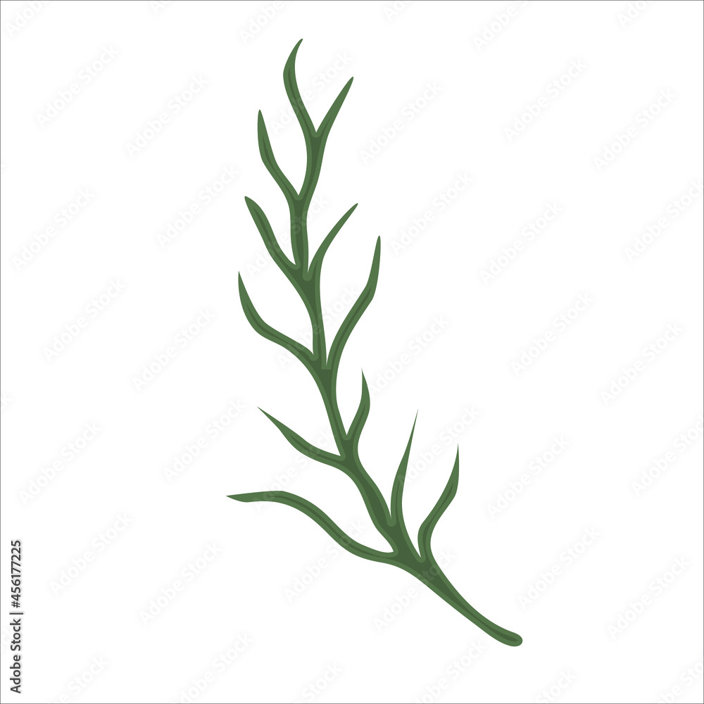 Fototapeta premium Hand drawn branch with leaves isolated on white background. Decorative floral element for your design. Vector illustration