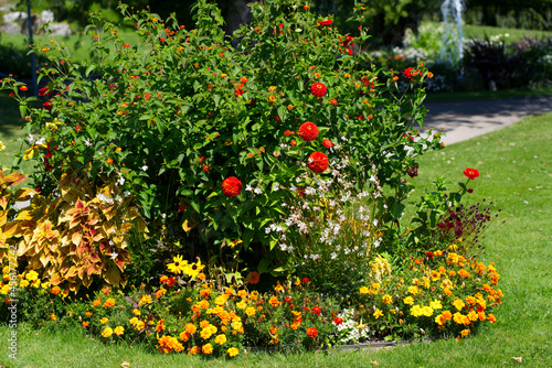 Beautiful red and orange flowers at park at City of Nyon. Photo taken August 28th, 2021, Nyon, Switzerland.