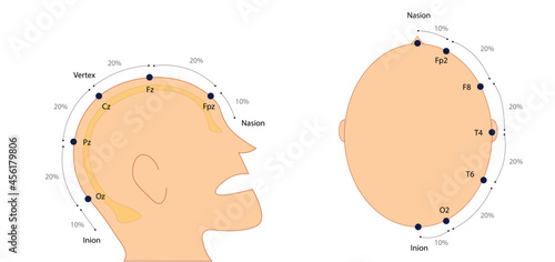 EEG (electroencephalography) Electrodes placement International System 10-20. 