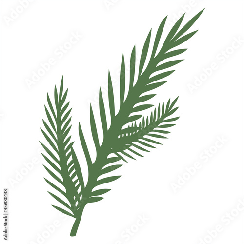 Hand-drawn fir or pine tree branch isolated on white background. Winter plants for Christmas decoration. Vector isolated holiday design elements.