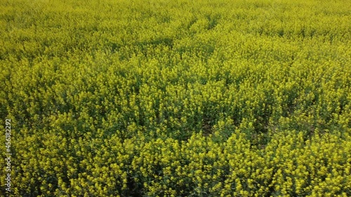 flight over the beautiful fields of Siberia