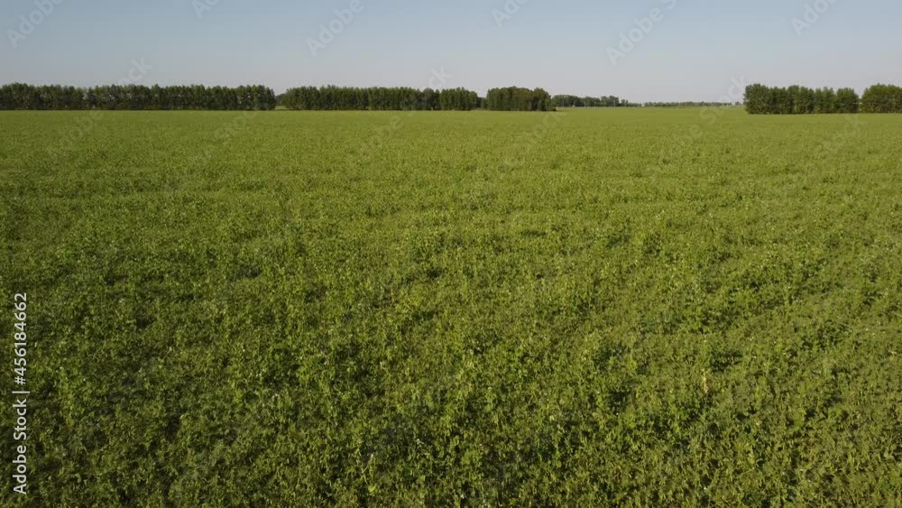 flight over the beautiful fields of Siberia flight over the beautiful fields of Siberia