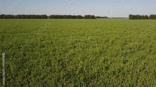 flight over the beautiful fields of Siberia