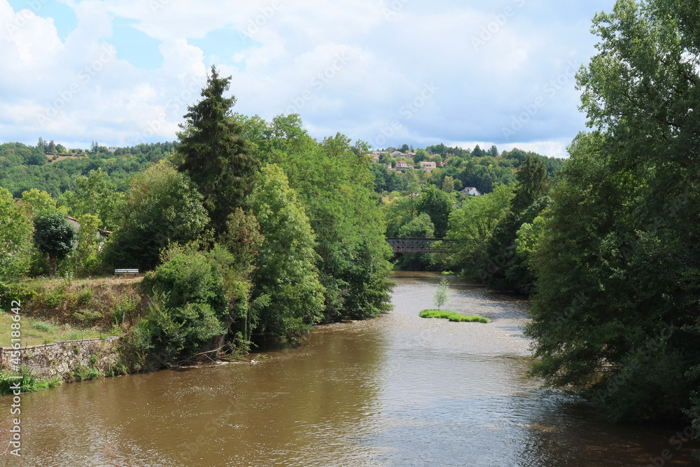 river in the forest