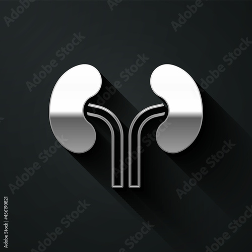 Silver Human kidneys icon isolated on black background. Long shadow style. Vector