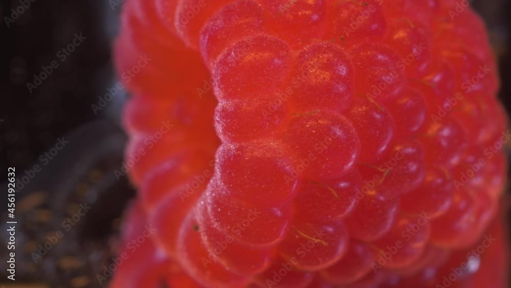Super macro raspberries. Looped 360-degree rotation of the video. Slow-motion shooting on a black mirror background with a magical parallax effect. Water droplets and the light reflected in them. Super macro raspberries. Looped 360-degree rotation of the video. Slow-motion shooting on a black mirror background with a magical parallax effect. Water droplets and the light reflected in them.