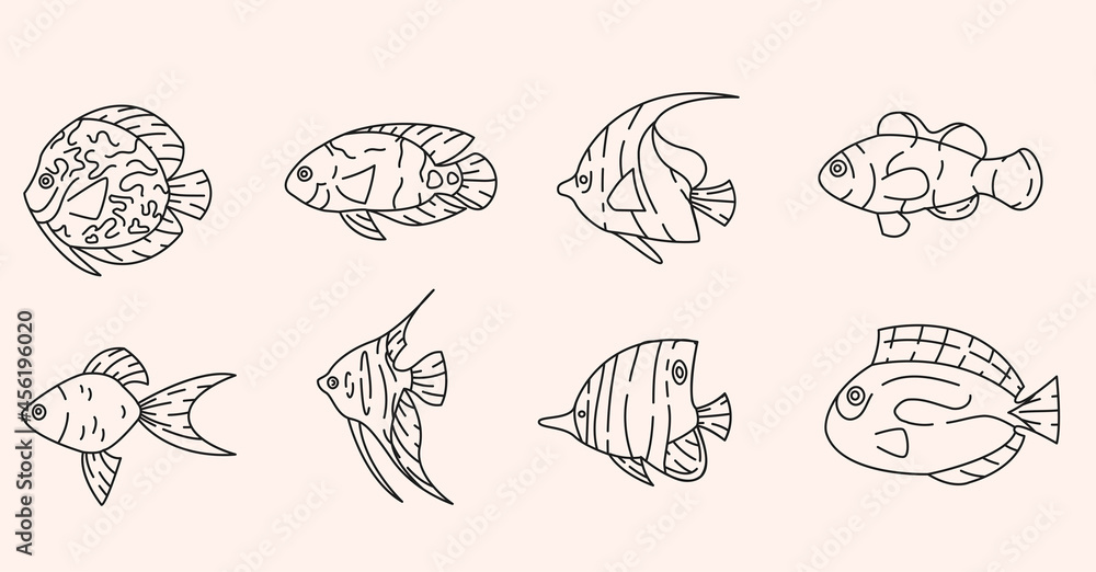 Tropical fishes outline elements collection. Underwater fauna line isolated set. Goldfish, clownfish, angelfish in contour design.