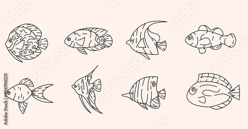 Tropical fishes outline elements collection. Underwater fauna line isolated set. Goldfish  clownfish  angelfish in contour design.