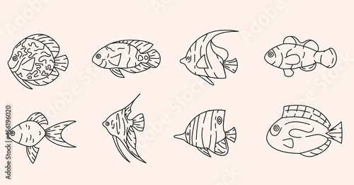 Tropical fishes outline elements collection. Underwater fauna line isolated set. Goldfish, clownfish, angelfish in contour design.