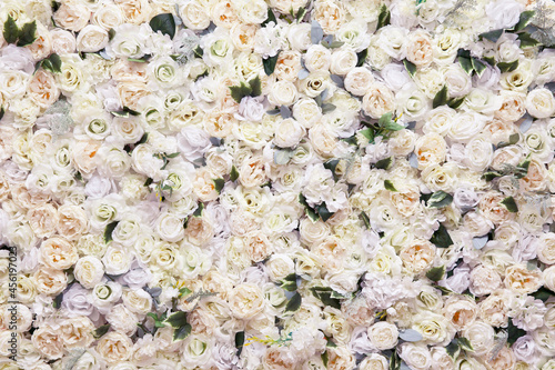background of artificial roses. Many artificial white roses, flower as background and decoration, stock photo image