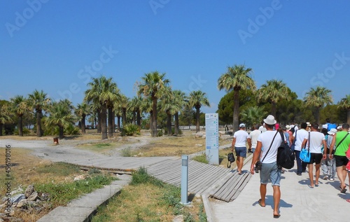 people walking on the beach