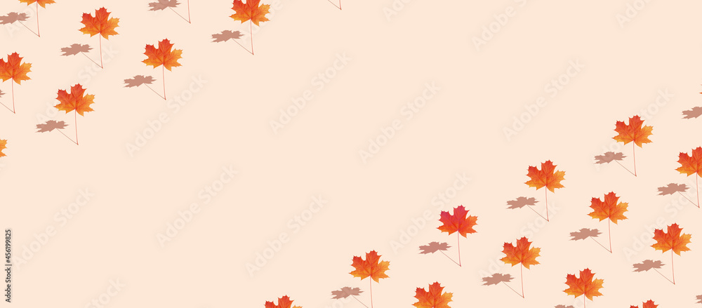 Pattern autumn maple leaf orange-red on white background in banner format with copy space