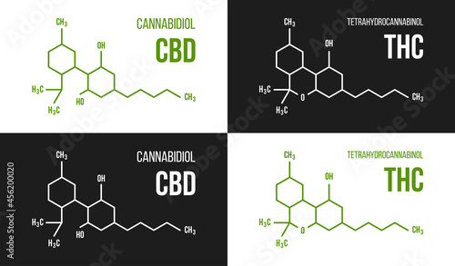 THC and CBD molecular structure illustrations set. Cannabinol and Tetrahydrocannabinol chemistry cannabis formula vector isolated