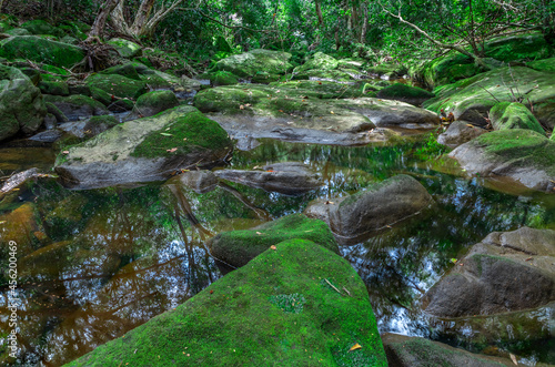 River bed in Sydney National Park with lovely green rocks with moss and tiny plants growing on them NSW Australia