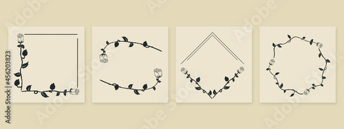 collection forest fern eucalyptus art foliage natural
leaves herbs inline style. Decorative beauty, elegant illustration 
Vector Flower Botanical