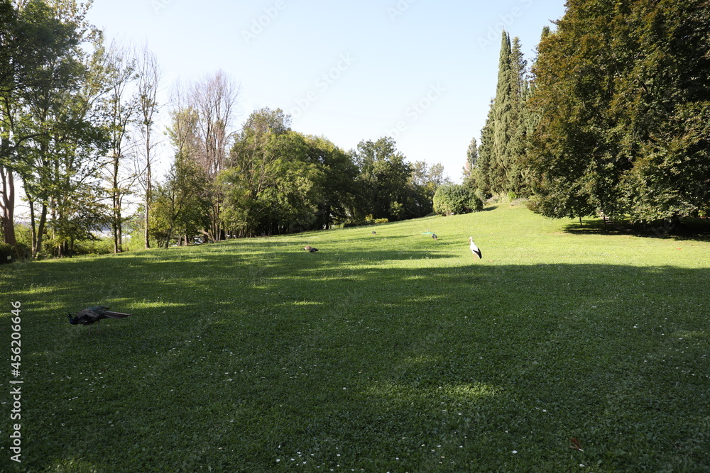 lago di pusiano