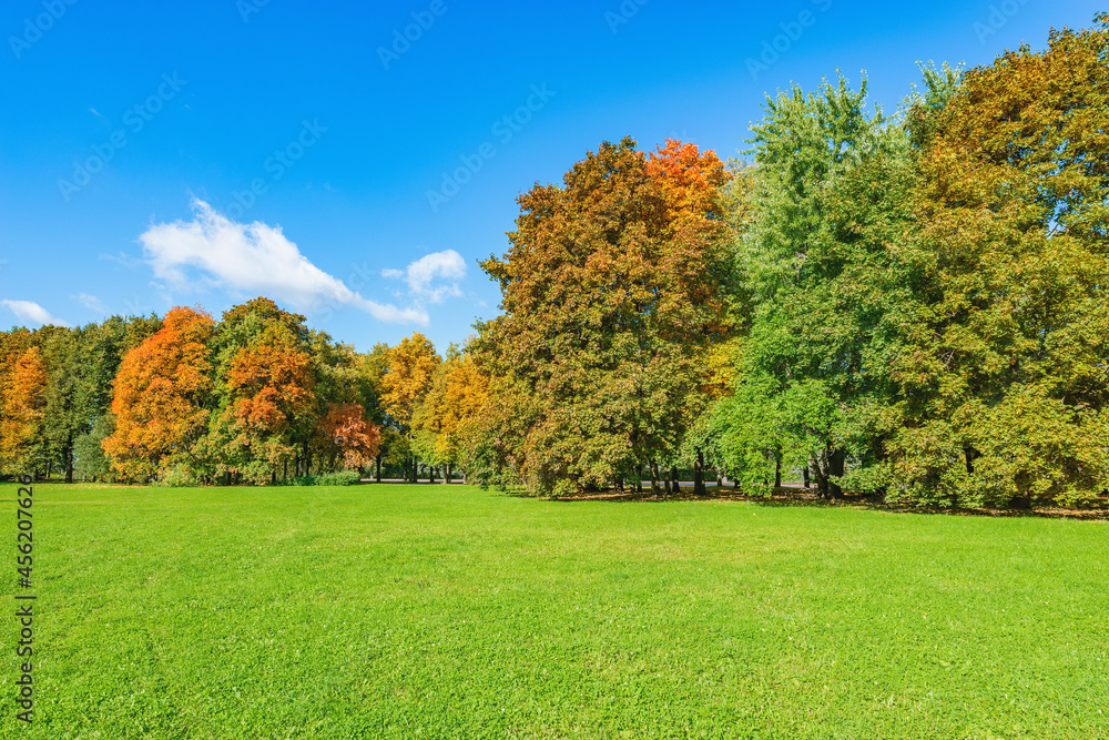 Naklejka premium Colorful trees by the lawn at autumn sunny day time.