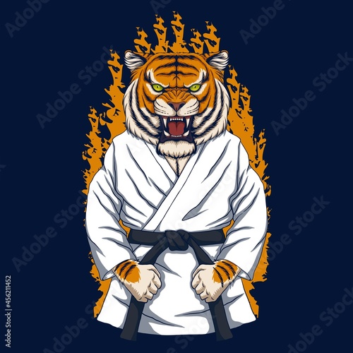Tiger karate vector illustration