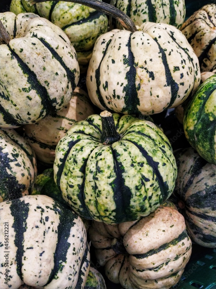 A lot of small striped pumpkins of white and green colors