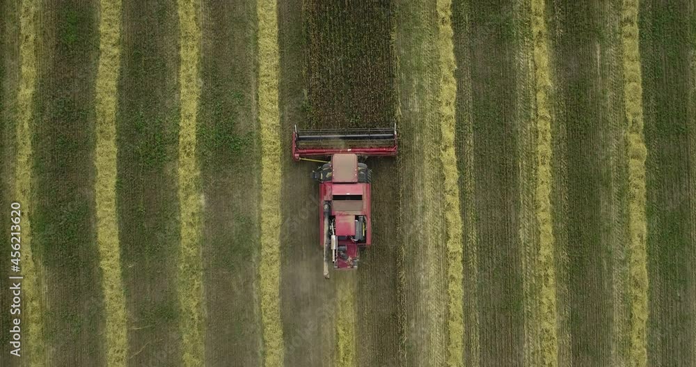 Combine harvester gathers wheat crop on cereal field and pours grain through long tube into trucks trailer in a countryside. Cultivation and collection organic culture. Aerial top down view Combine harvester gathers wheat crop on cereal field and pours grain through long tube into trucks trailer in a countryside. Cultivation and collection organic culture. Aerial top down view