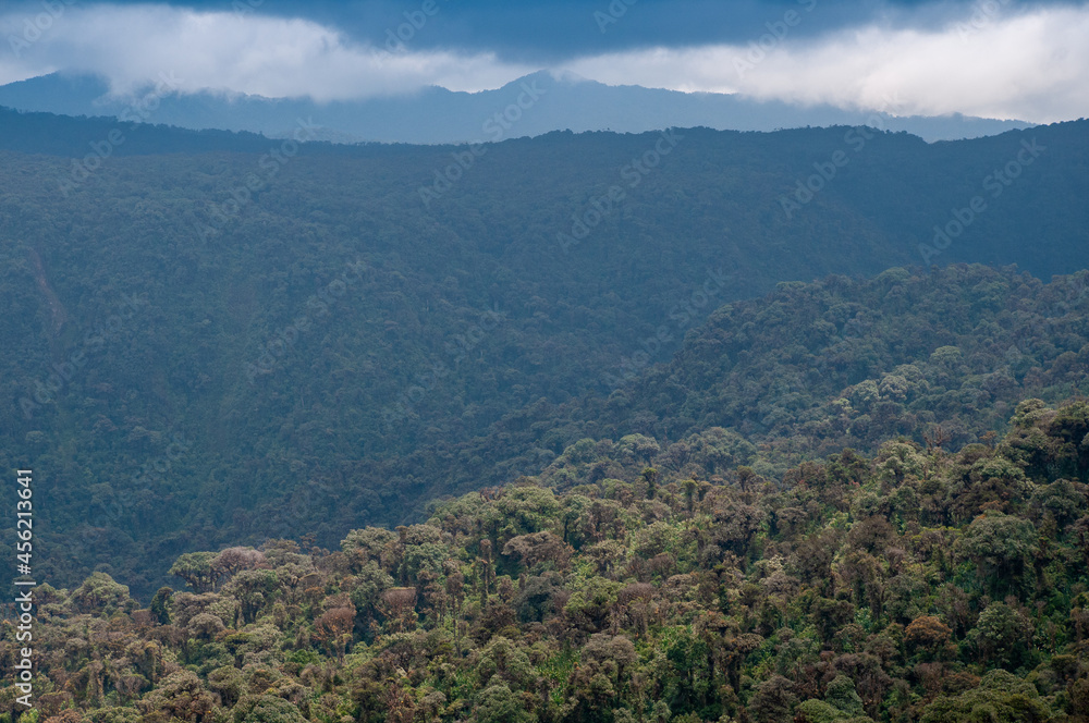 Fototapeta premium Rain forest landscape in some Colombian mountains