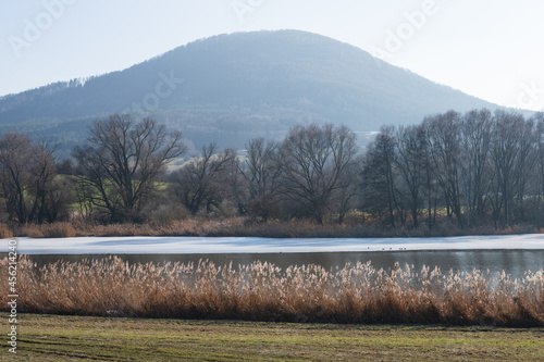 Dolanský pond in Czech republic