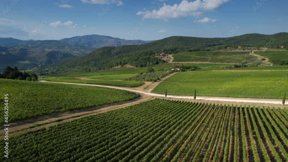 aerial view of the beautiful green vineyards in the Chianti Classico area, near Pontassieve (Florence), Italy. aerial view of the beautiful green vineyards in the Chianti Classico area, near Pontassieve (Florence), Italy.