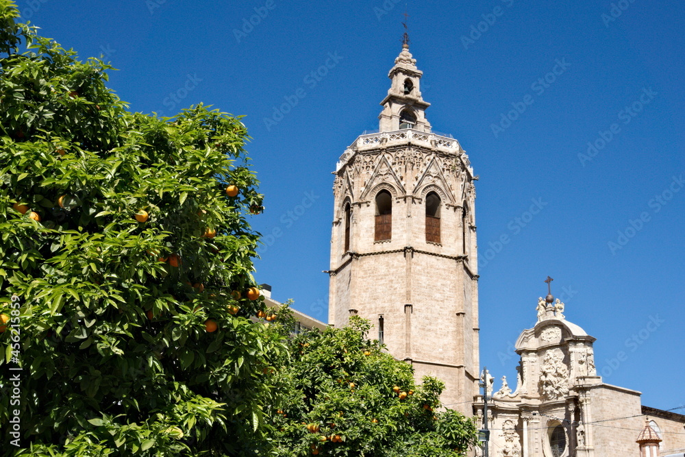 Cathedral of Valencia behind orange trees at a blue summer day