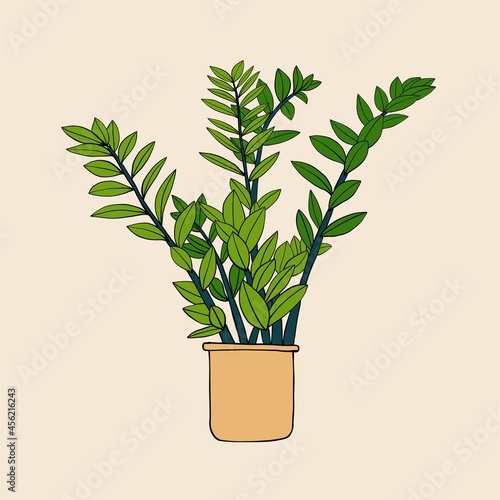 Simplicity zanzibar gem plant simplicity freehand drawing flat design.
