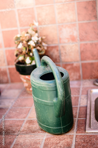 regadera verde apuntando a una planta 