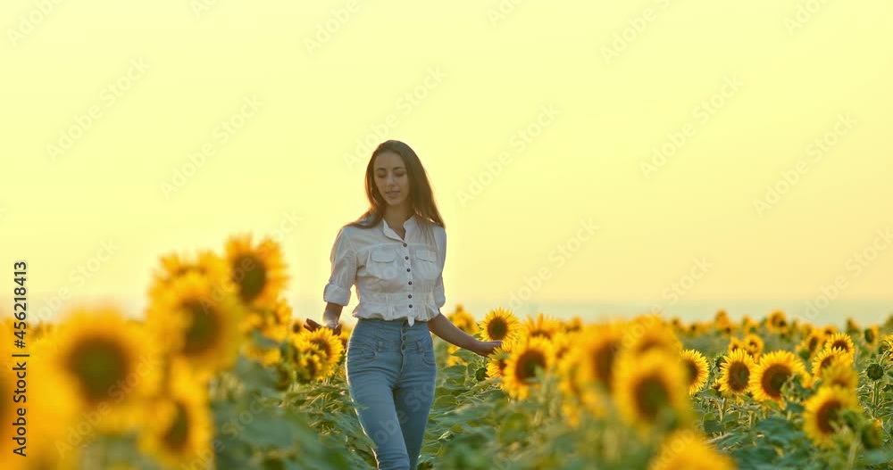 Beautiful young woman walks in a blooming field with sunflowers. Happy woman walks through the field and touches the flowers with her hands. Romantic walk at sunset in a blooming field. 4k, ProRes Beautiful young woman walks in a blooming field with sunflowers. Happy woman walks through the field and touches the flowers with her hands. Romantic walk at sunset in a blooming field. 4k, ProRes