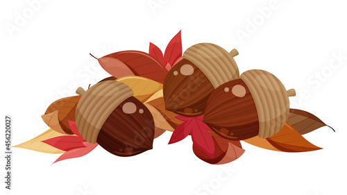 落ち葉の上に転がったどんぐりのイラスト